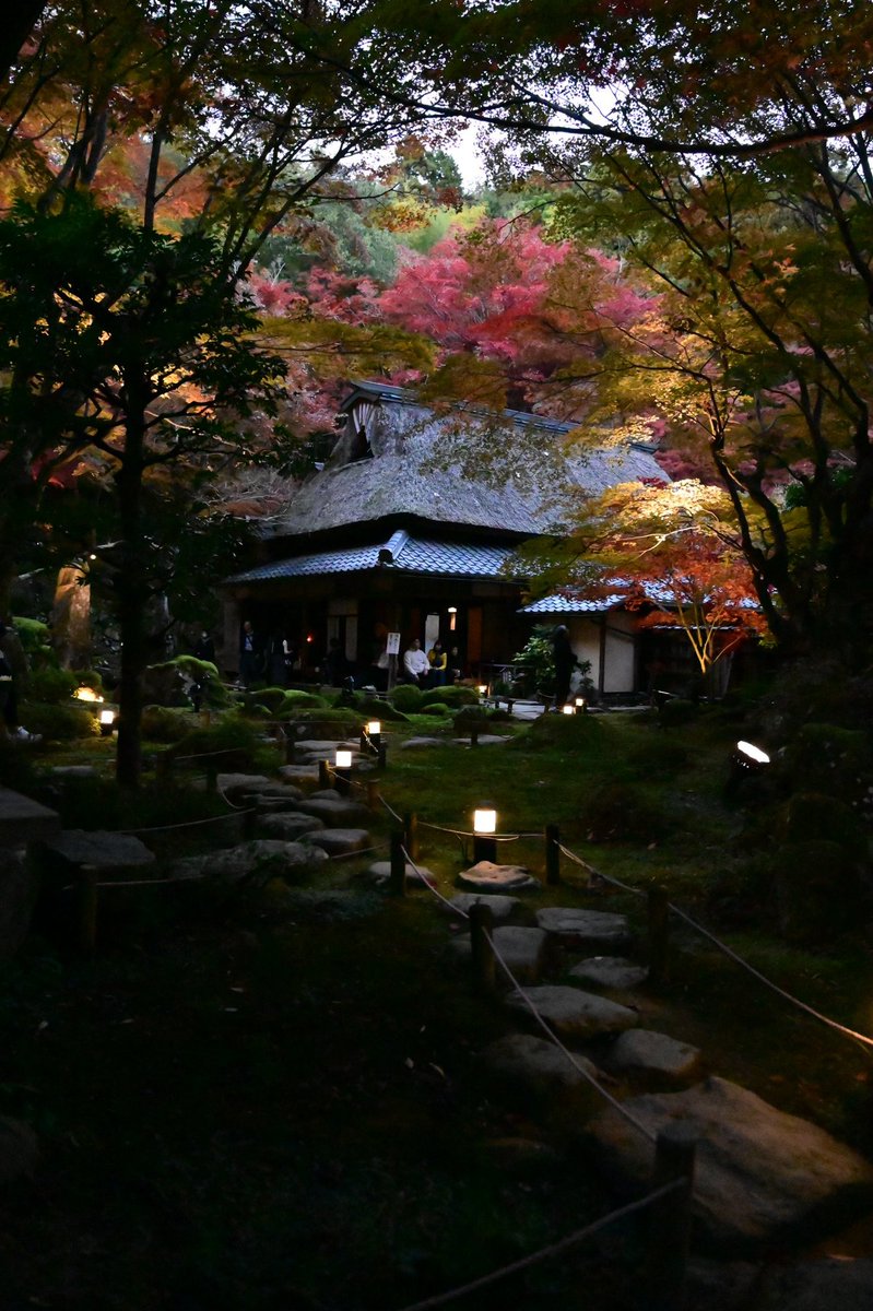 sssrrrsssddd's tweet photo. 教林寺 https://t.co/ymofXsDWyA
