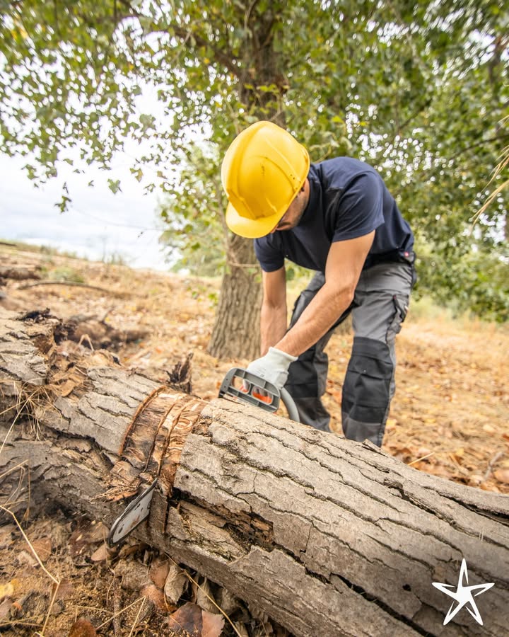 silverstartree's tweet image. 🌲 Safe &amp;amp; Efficient Tree Removal 🌲
Professional removal done right, keeping your property protected every step of the way.

👉 Learn more: silverstartree.com

#TreeRemoval #SilverStarTree #TreeCareExperts #SafeAndEfficient #ArboristServices