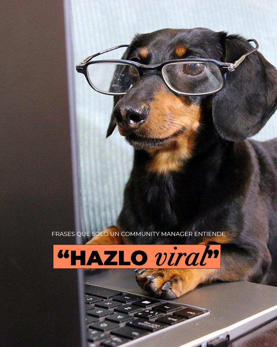 oneroomestudio's tweet image. Detrás de cada publicación exitosa siempre hay un Community Manager que equilibra estrategia, creatividad y mucha dosis de paciencia diaria. 😅

👉 Reconoce su trabajo y etiqueta a ese CM que nunca se rinde.

#CommunityManager #ContentManager #SocialMedia #Creative #CM
