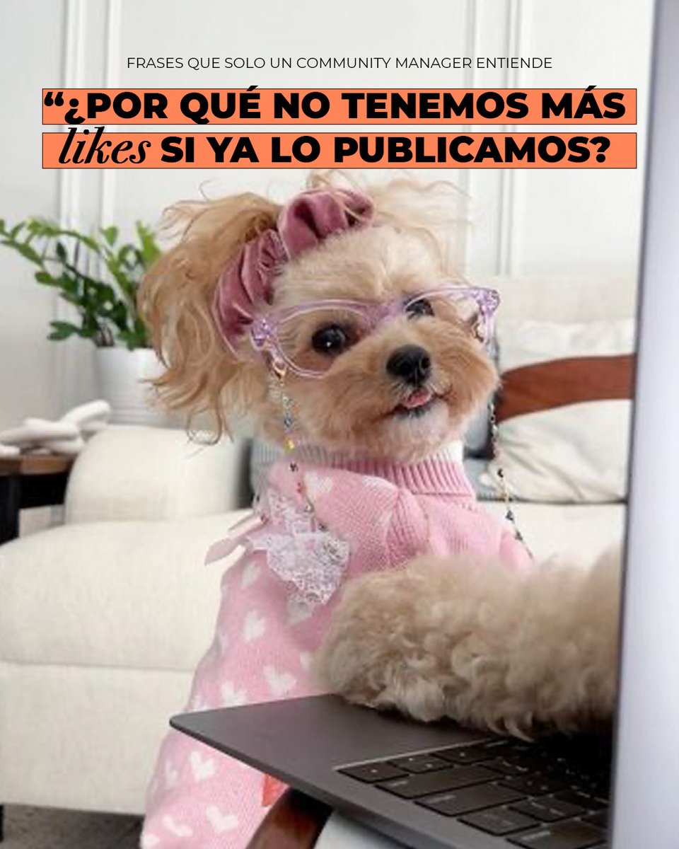 oneroomestudio's tweet image. Detrás de cada publicación exitosa siempre hay un Community Manager que equilibra estrategia, creatividad y mucha dosis de paciencia diaria. 😅

👉 Reconoce su trabajo y etiqueta a ese CM que nunca se rinde.

#CommunityManager #ContentManager #SocialMedia #Creative #CM