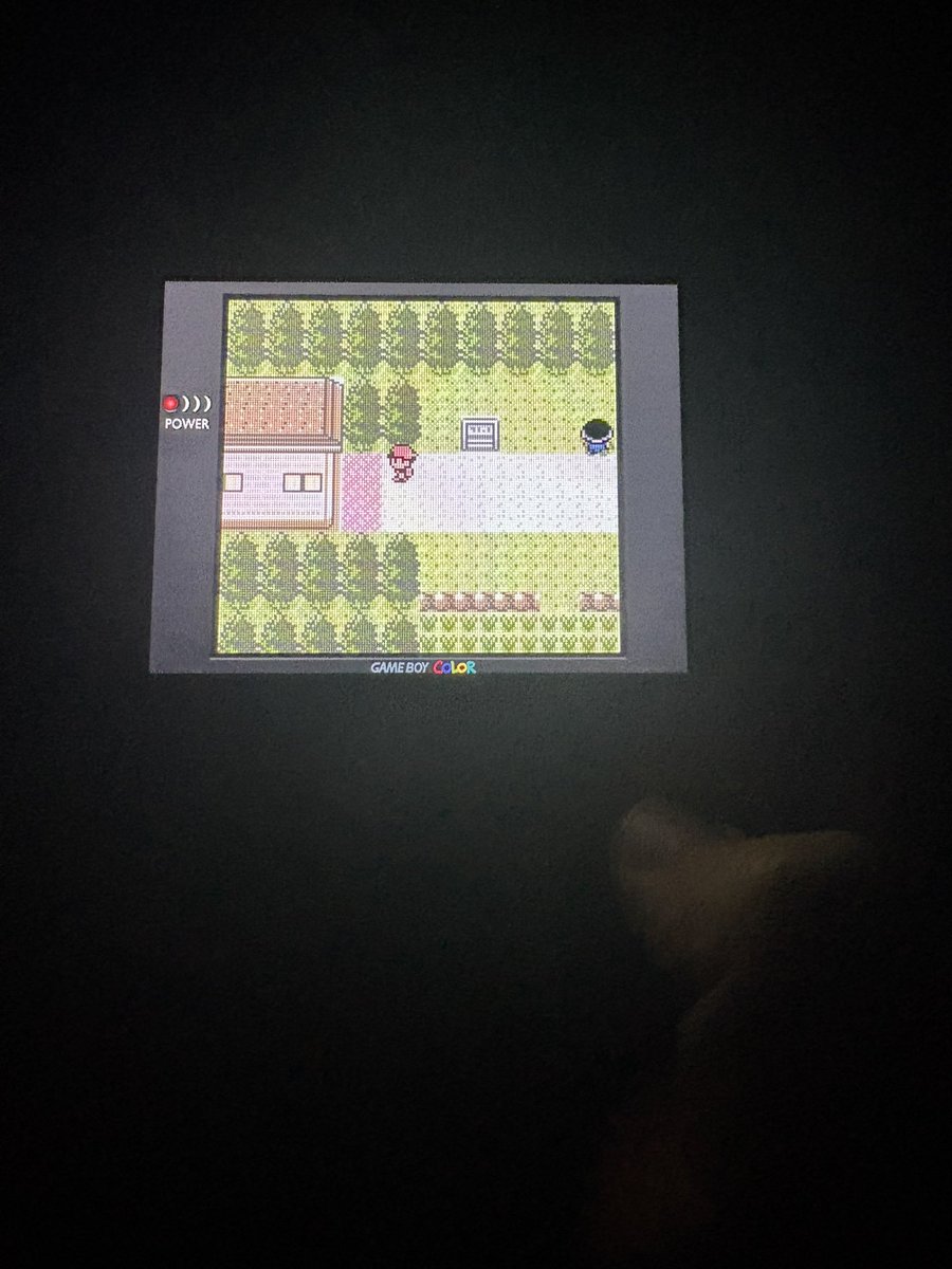 never doing a nuzlocke again I killed two encounters in my first 20 minutes of starting and now I’m stuck with two pidgeys 😭