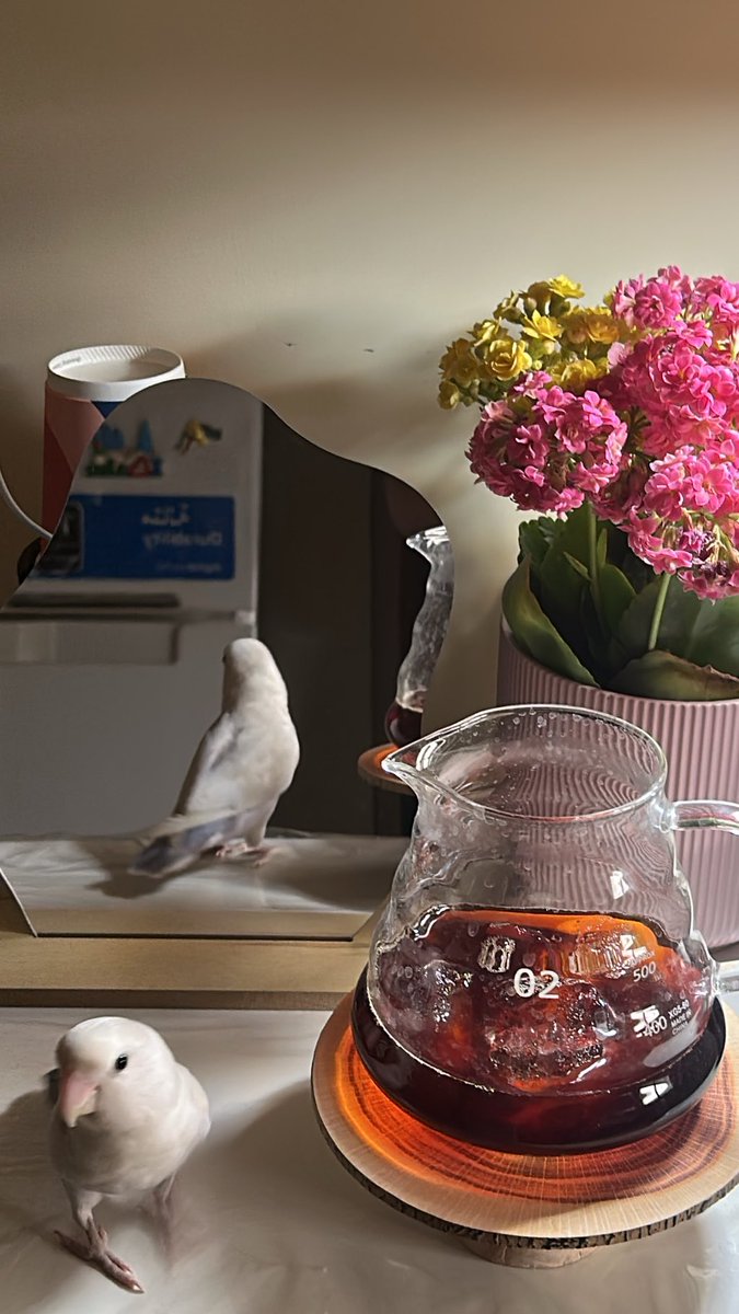 LO_loo's tweet image. 