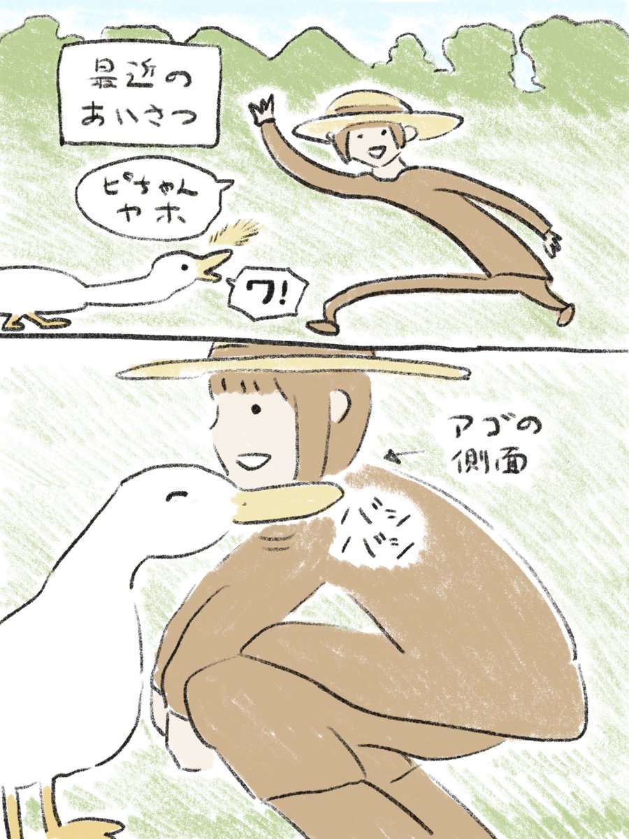 human_tomodachi's tweet image. アヒルのあいさつ