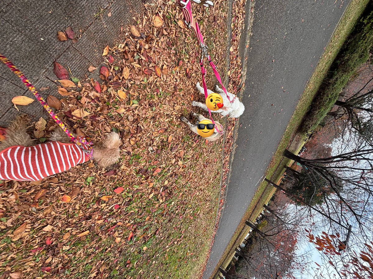 satominページです。 舎人公園はすっかり秋🍂🍂です☺️