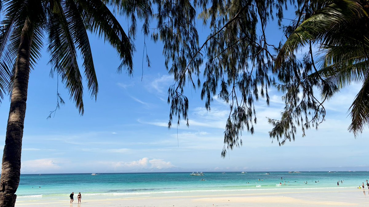 EL(Erika) tweet media