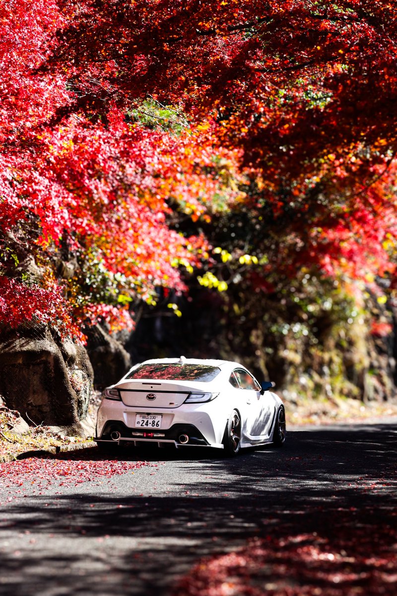 がくちゃ tweet media