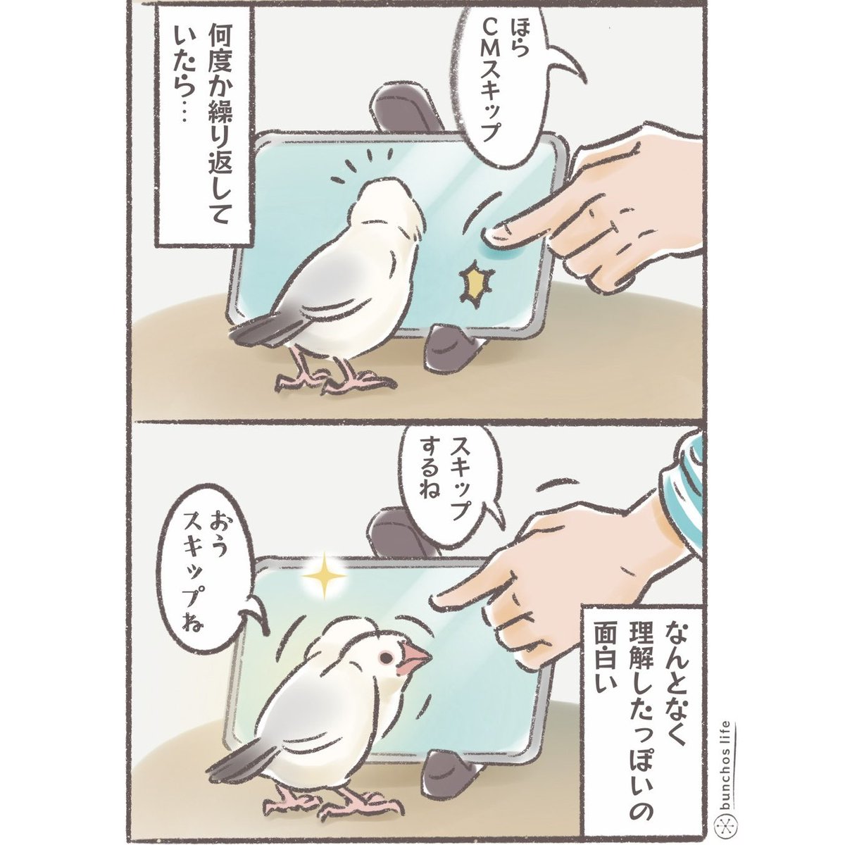 動画の合間に表示されるCMの「スキップ」を理解したらしい1号