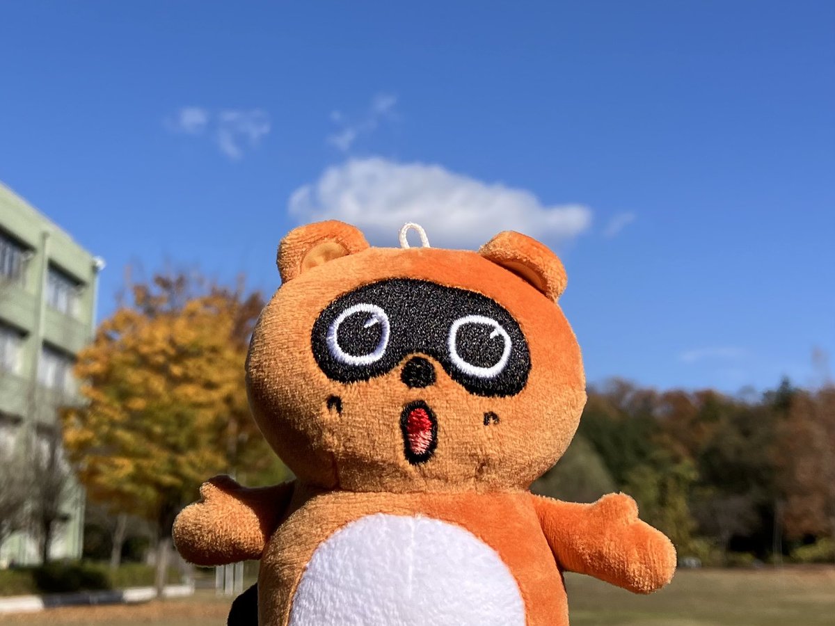 高尾のたぬきち (@TWV_TANUKICHI) / Posts / X