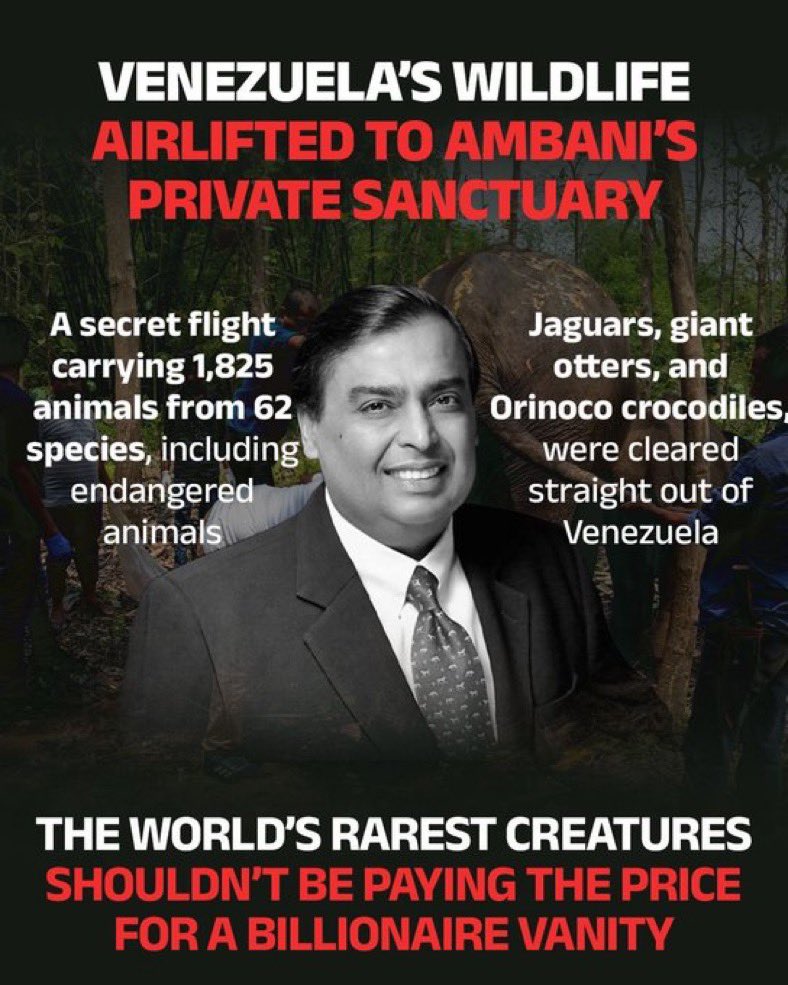 _protagonist1's tweet image. Fuck Ambani n fuck Vantara n fuck gobhi for letting it all happen!!!