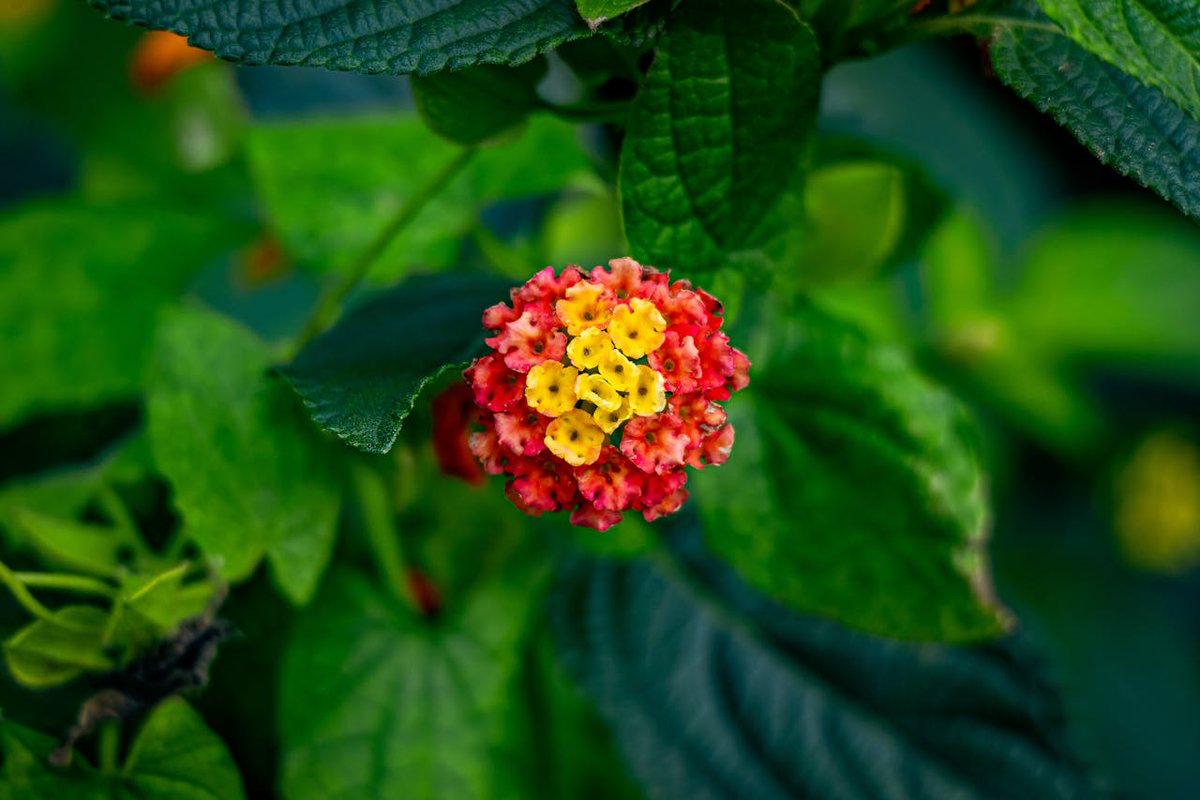 tykcando's tweet image. The practice of self-assessment will take you a long way toward making progress in your personal as well as professional life. #SelfReflection