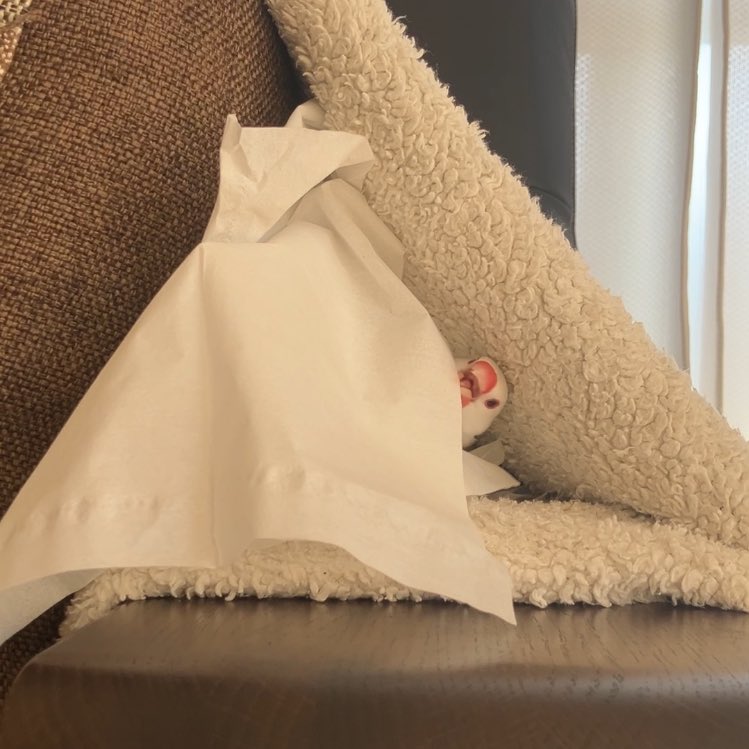 ティッシュあーんしてるところ