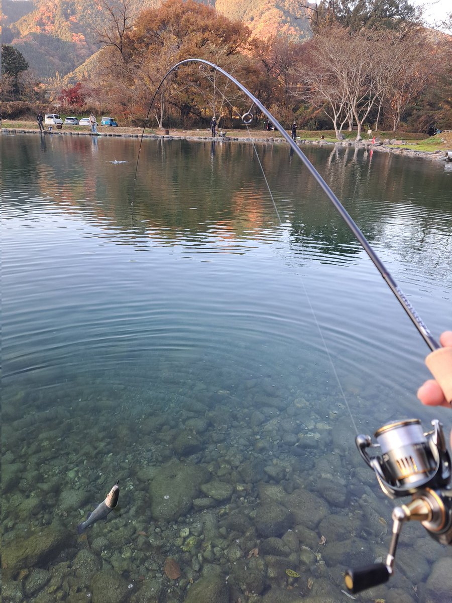 1091aiai's tweet image. Tコネ61L-RSいい
すんごくいい🤤
チクチクした触りも感じられるし
強いバイトも吸収していなしてくれる。ES2 035で中級スプーンに相性抜群🤤

#大芦川
#OFC