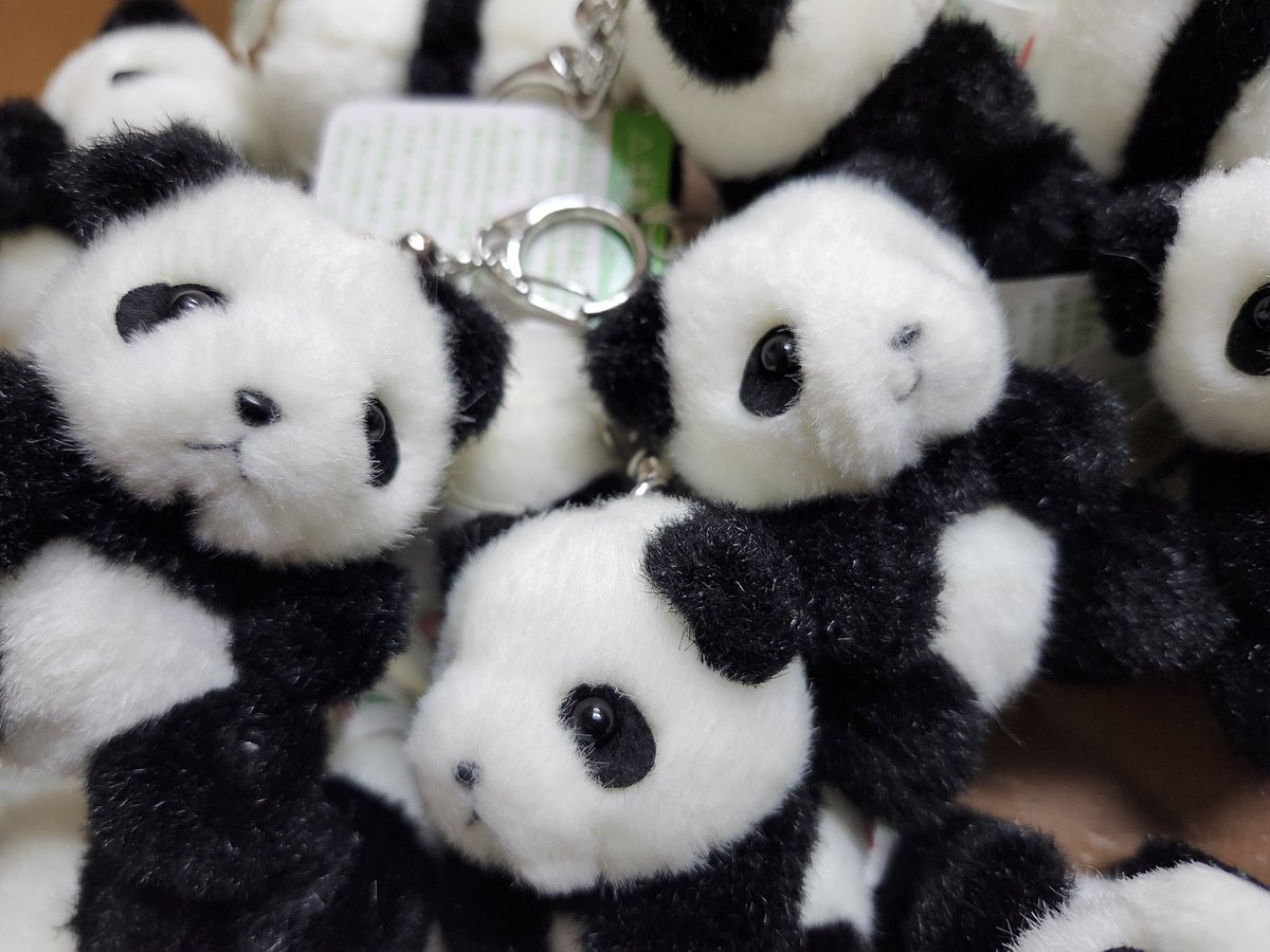 こんにちは！晴天から曇り空にかわってしまった中華街です 風が冷たい