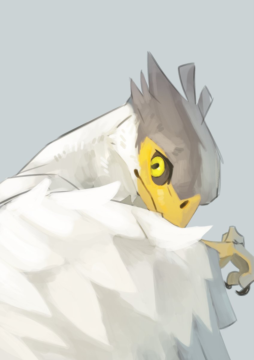 Minhpham_ART's tweet photo. avian https://t.co/22rNSS7gfW