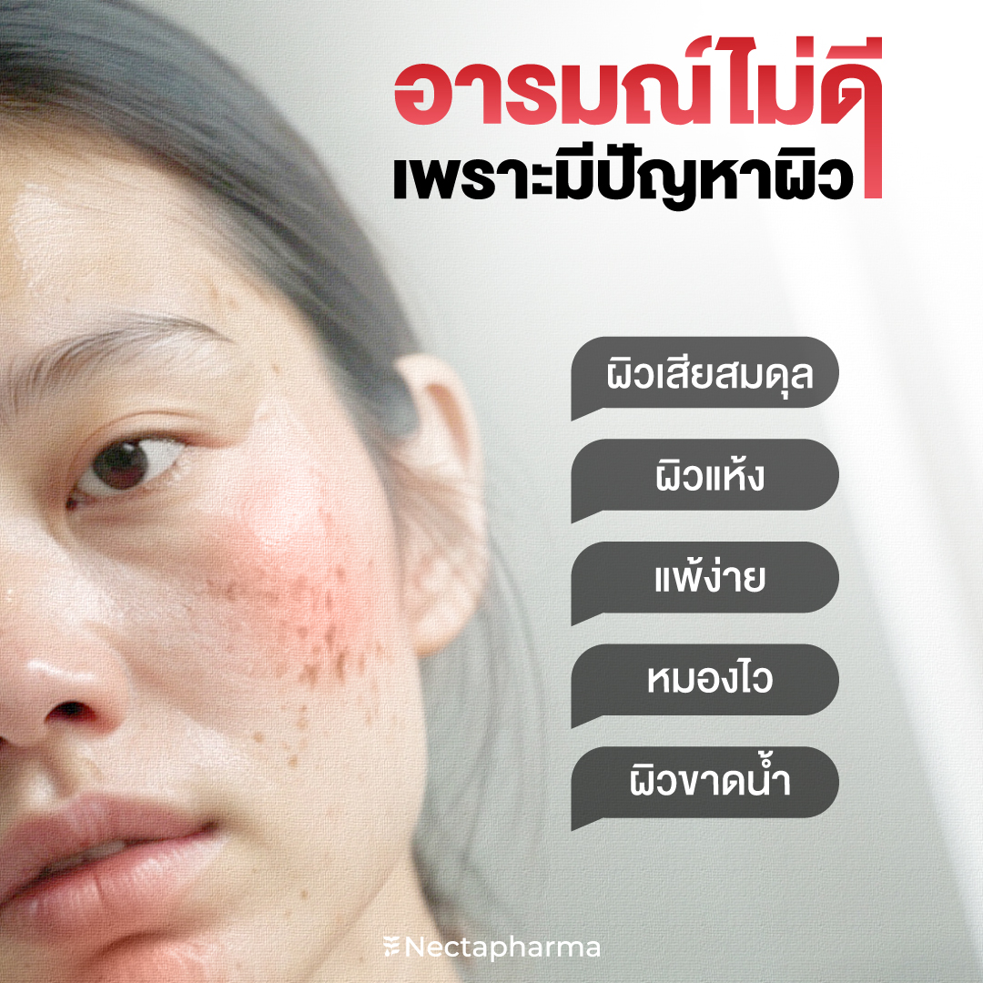 nectapharma's tweet image. อากาศเย็นแล้วเหลือแต่อารมณ์‼️
ที่อารมณ์เสียเพราะผิวพัง

แจกไอเท็มงานผิวจึ้ง คู่หูผิวสวยจากภายใน
✨ผิวสวยกระจ่างใส ลดเลือนริ้วรอย ฝ้า จุดด่างดำ
🩸Luminari Astaxanthin
วันละ 1-2 ซอล์ฟเจล หลังอาหาร
✨ ควบคุมความมัน จัดการปัญหาสิว ผิวเนียนไม่สะดุด
🍃Pearletane
วันละ 2 เม็ด หลังอาหาร…