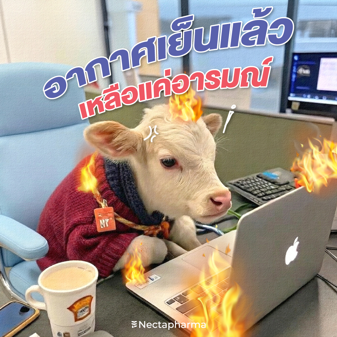 nectapharma's tweet image. อากาศเย็นแล้วเหลือแต่อารมณ์‼️
ที่อารมณ์เสียเพราะผิวพัง

แจกไอเท็มงานผิวจึ้ง คู่หูผิวสวยจากภายใน
✨ผิวสวยกระจ่างใส ลดเลือนริ้วรอย ฝ้า จุดด่างดำ
🩸Luminari Astaxanthin
วันละ 1-2 ซอล์ฟเจล หลังอาหาร
✨ ควบคุมความมัน จัดการปัญหาสิว ผิวเนียนไม่สะดุด
🍃Pearletane
วันละ 2 เม็ด หลังอาหาร…