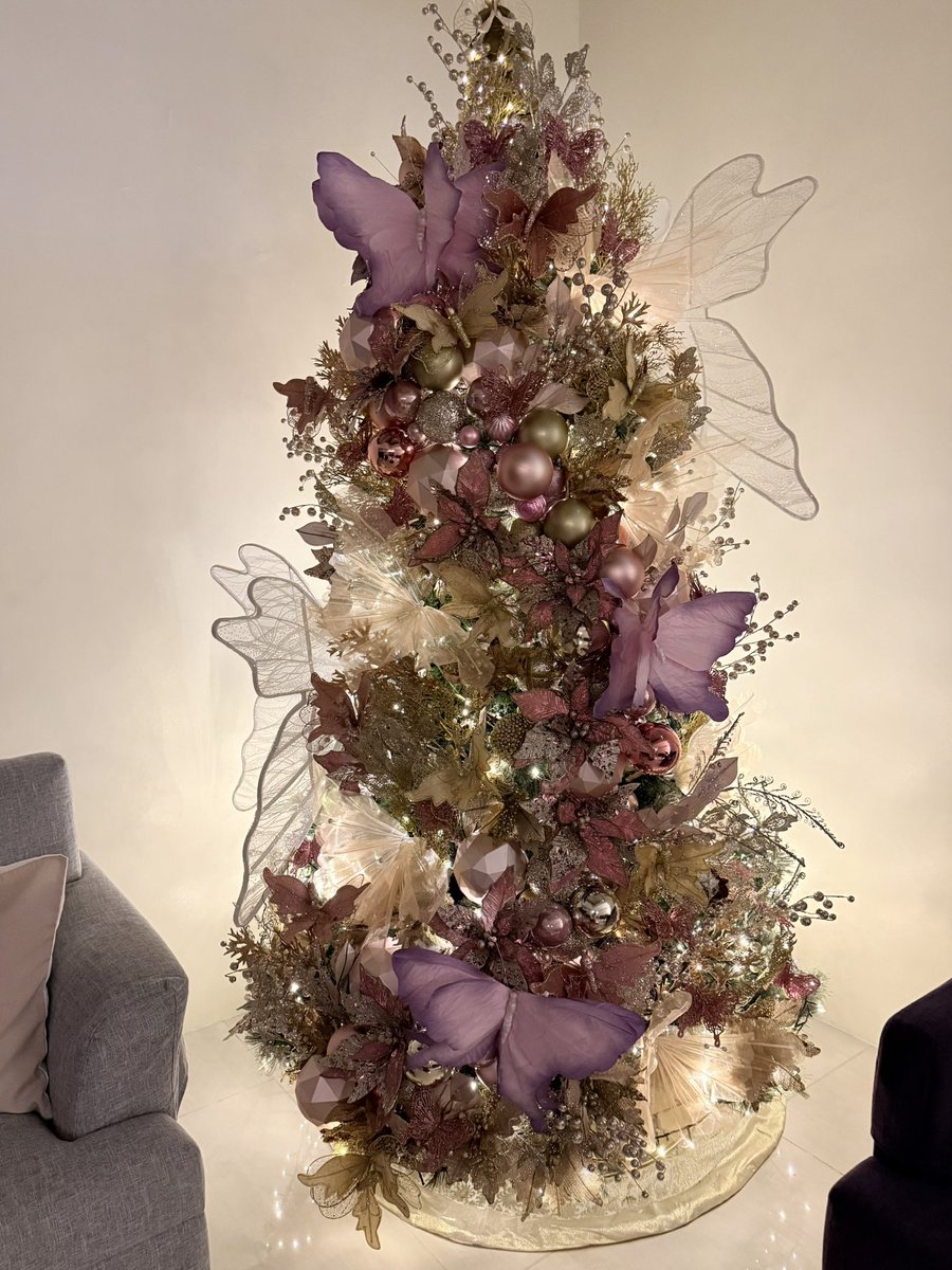 chefgoosegirl02's tweet image. This year&apos;s tree is finally up! 🎄🦋

#Christmas2025 
#ChristmasTree