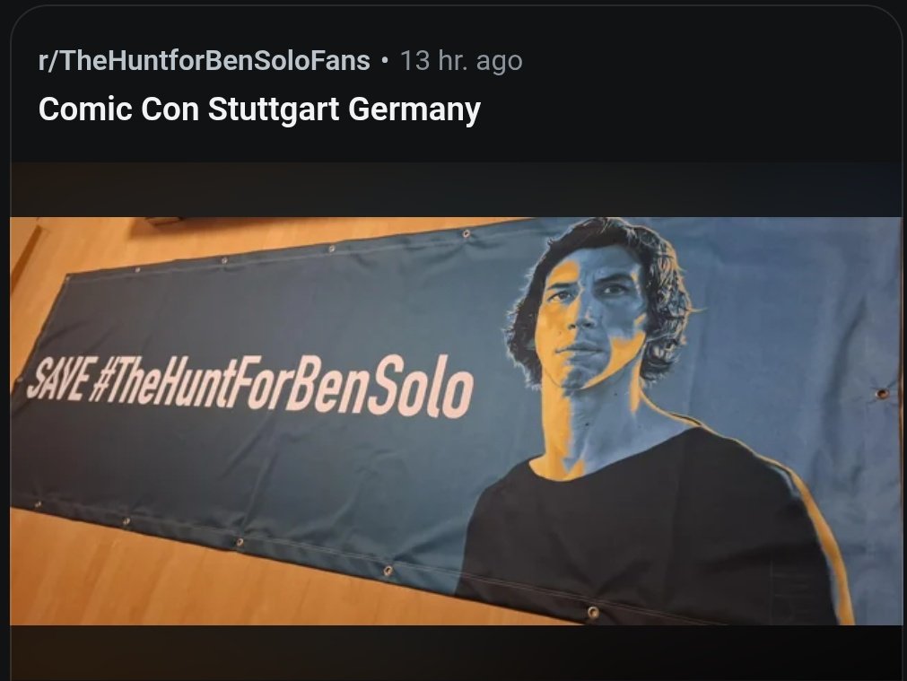 this fandom 🤍✨️ #thehuntforbensolo