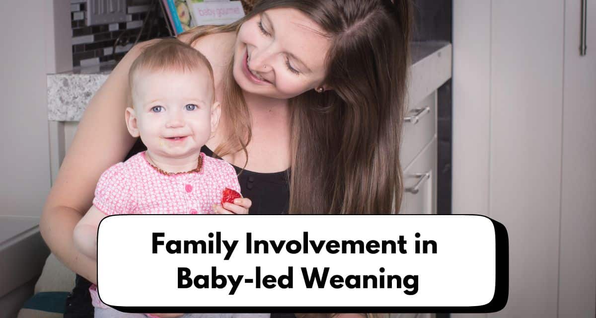 DCmemberblogs's tweet image. .@firststepnut: Family Involvement in Baby-Led Weaning dlvr.it/TPTzhj #dietitian