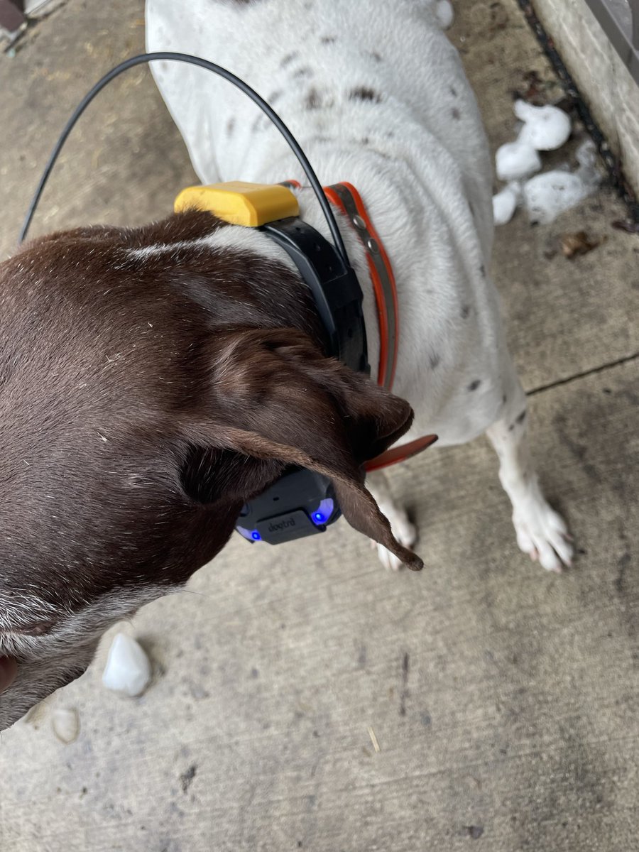 Rush4Outdoors's tweet image. 