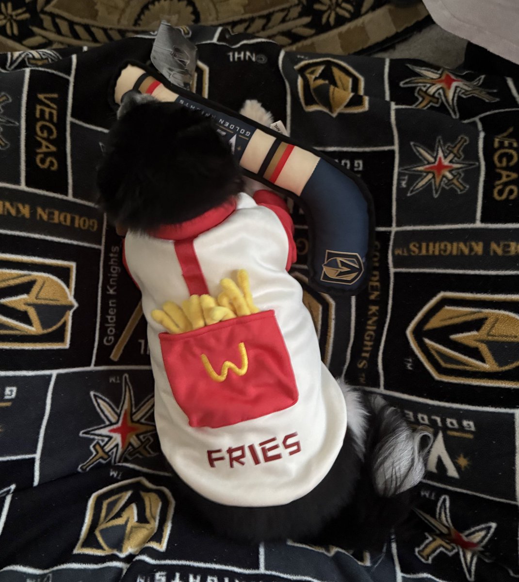 Go get your fries tomorrow eat with your turkey!!!!

#VGKFoodieHatTrick 1 of 3
#VGKFrenchFries!!!🍟
#VegasBorn
❤️🐼🐶