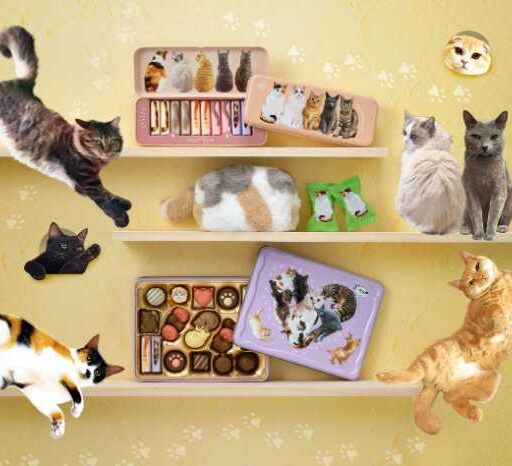 きじとら@nyan (@kigitorakun) / Posts / X