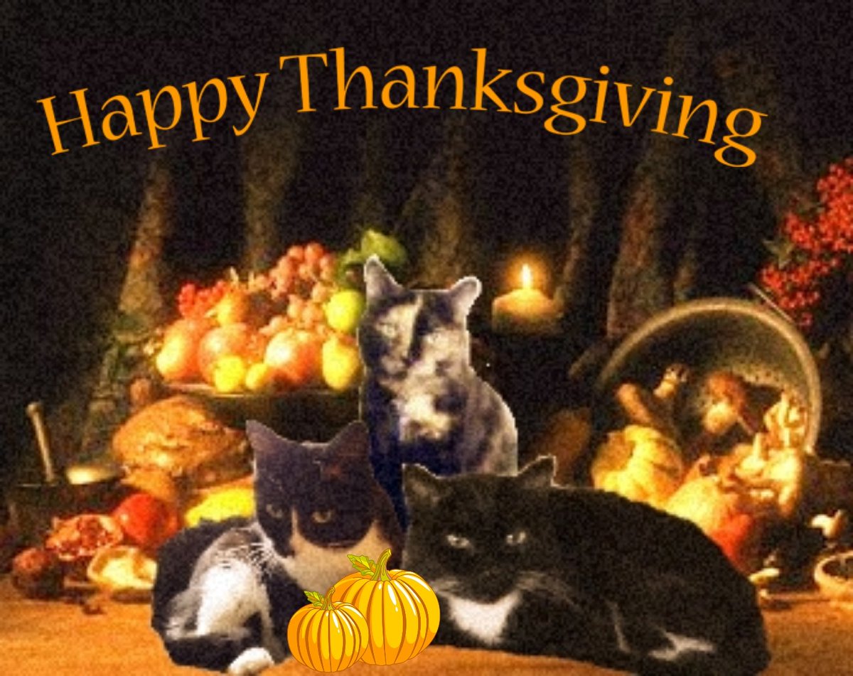 CinniMini2's tweet image. Hi pals, and Happy Thanksgiving to all who are celebrating! We pre-programmed our shift so our granny could enjoy the holiday. For the next hour, we&apos;ll play the album of greatest hits by Ray Charles. - Angels Oreo and Hydrox #Nipclub