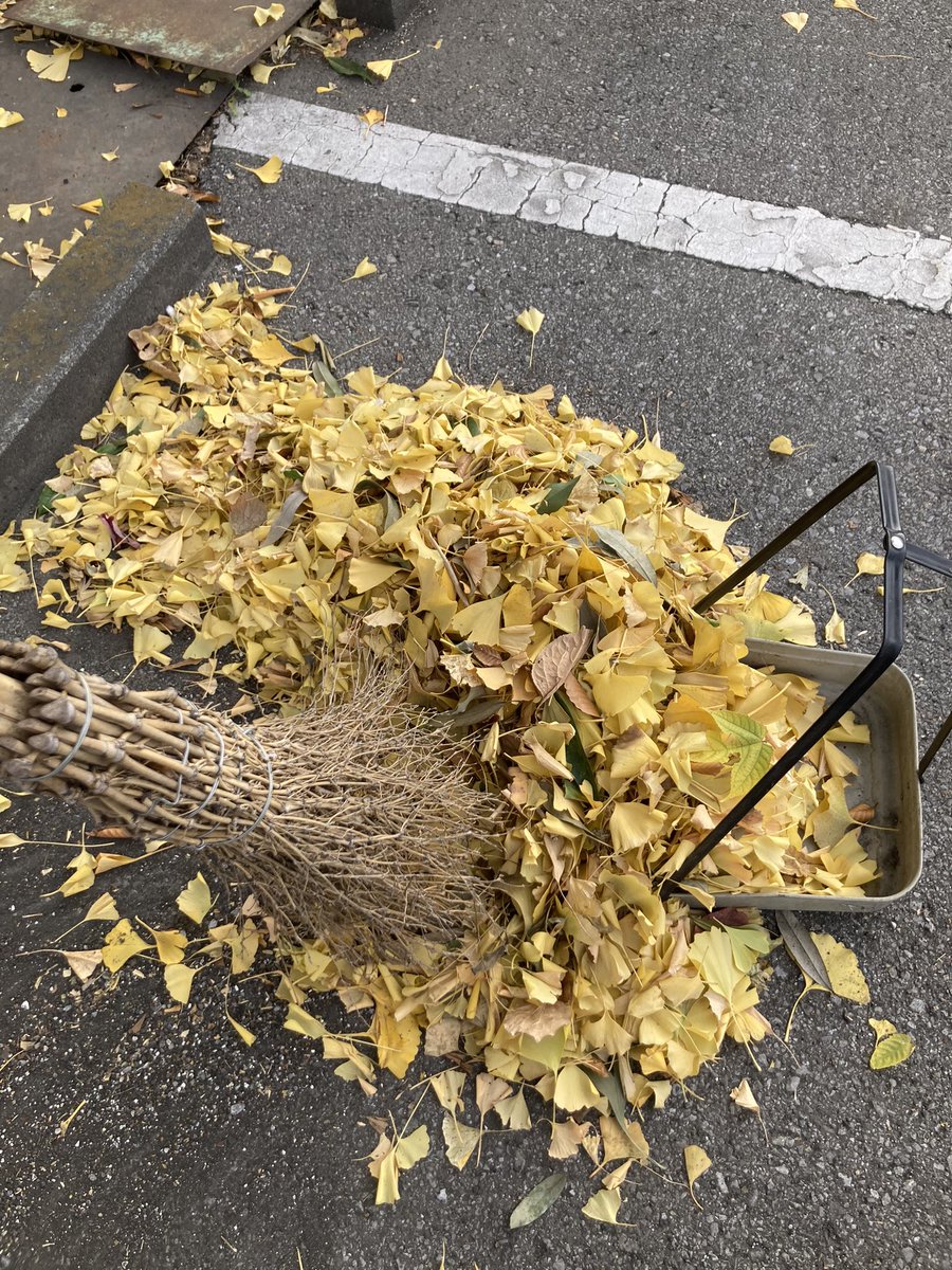 Seaside431fgo's tweet image. 寒いねぇ……🍃