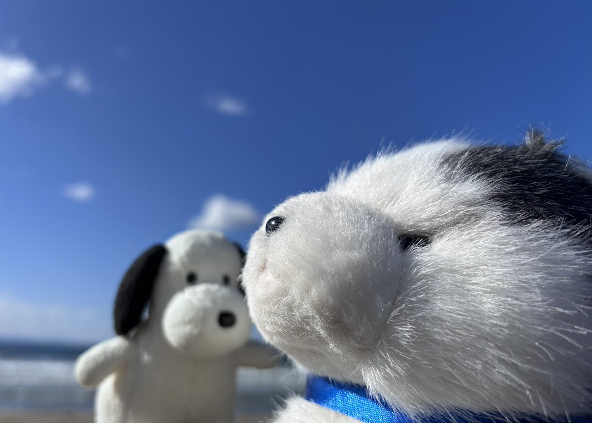 やめぴ やめぴ (@yamekawaeee) / Posts / X