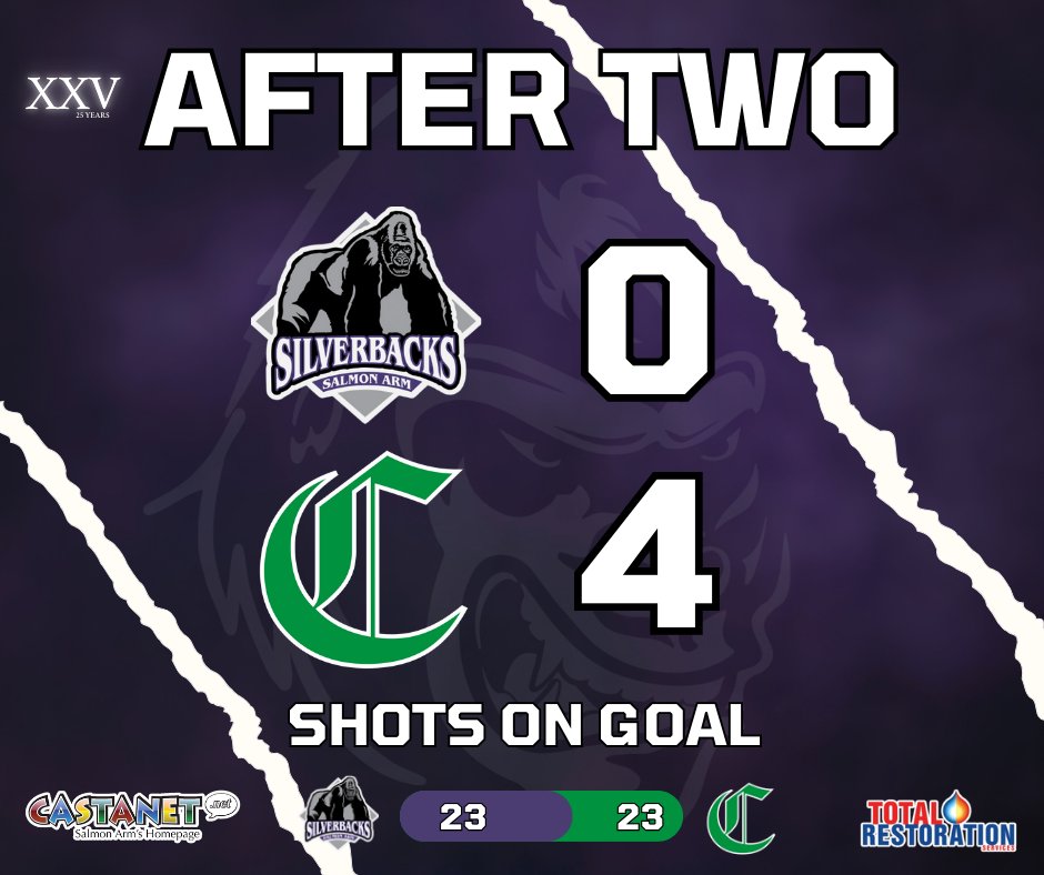 SASilverbacks's tweet image. Third period coming up.
