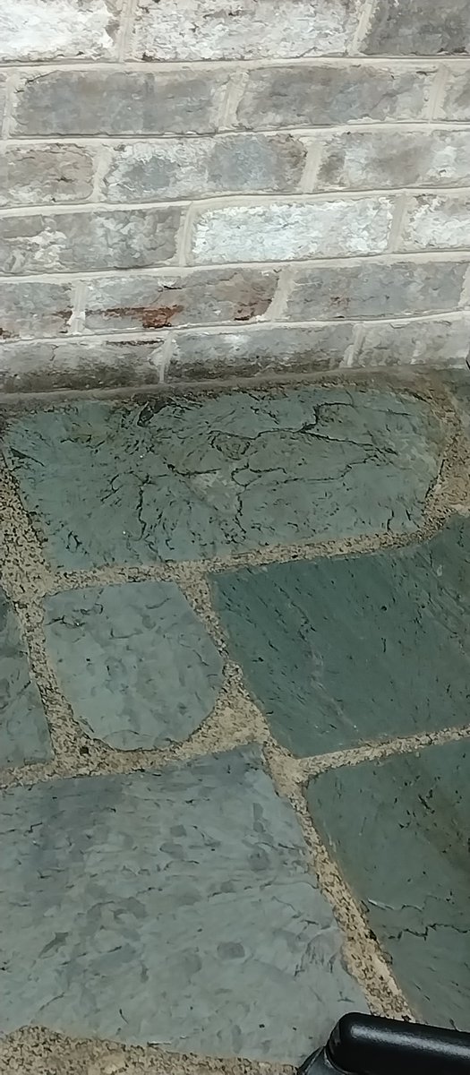 default_13's tweet image. We don't think it would be a good idea for you to be around someone similar to yourself
We don't believe you are a good person
We're not accusing you of doing anything bad
Its just
Good people don't think the way you do
Its best you find someone else to talk to