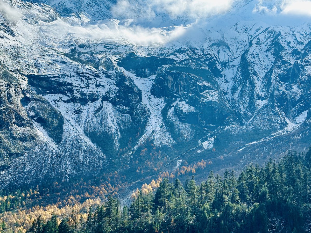 Kernzgo's tweet image. All Creatures Great and Small