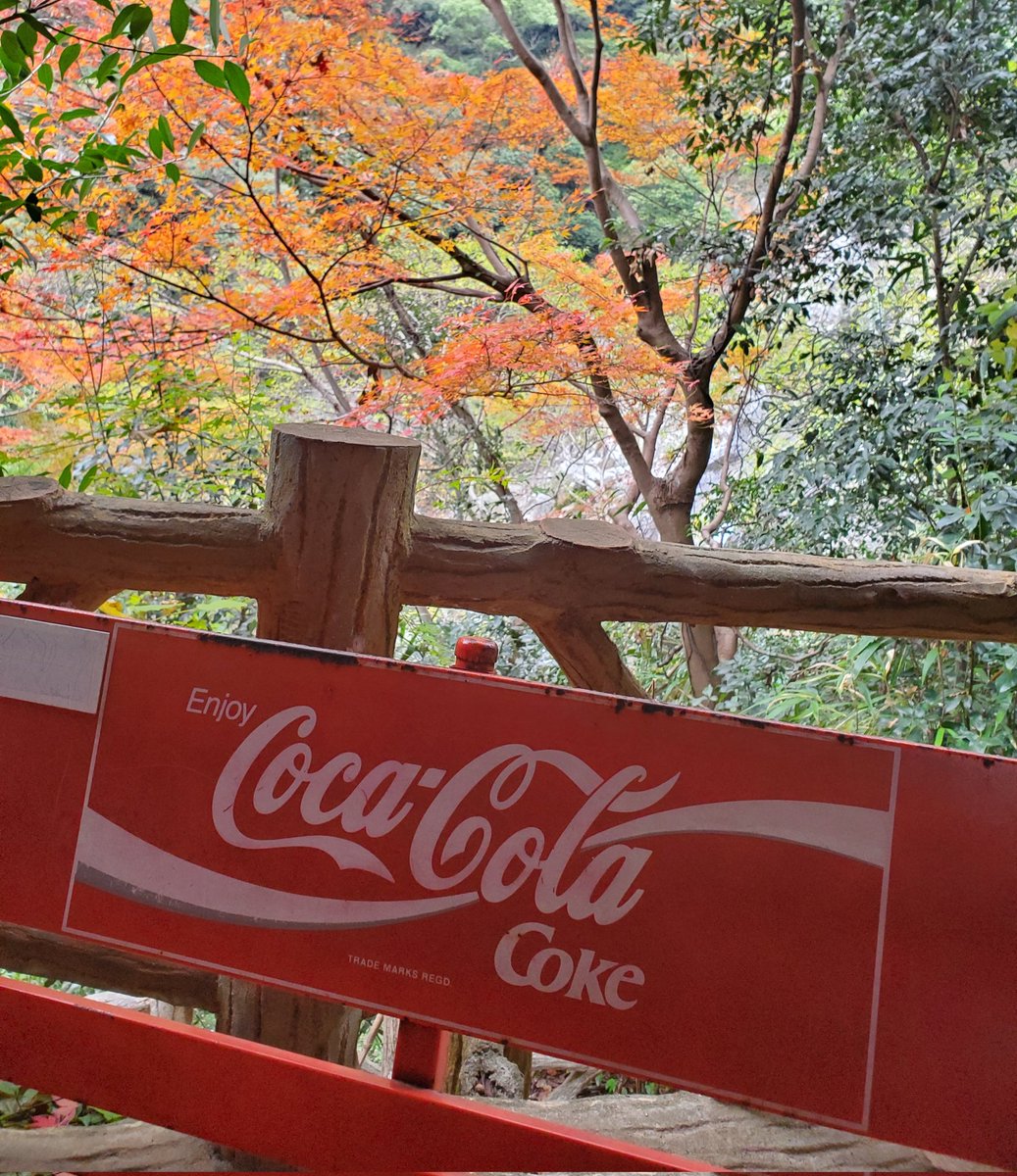 GraphTechKEN's tweet image. 秘境駅きた🍁