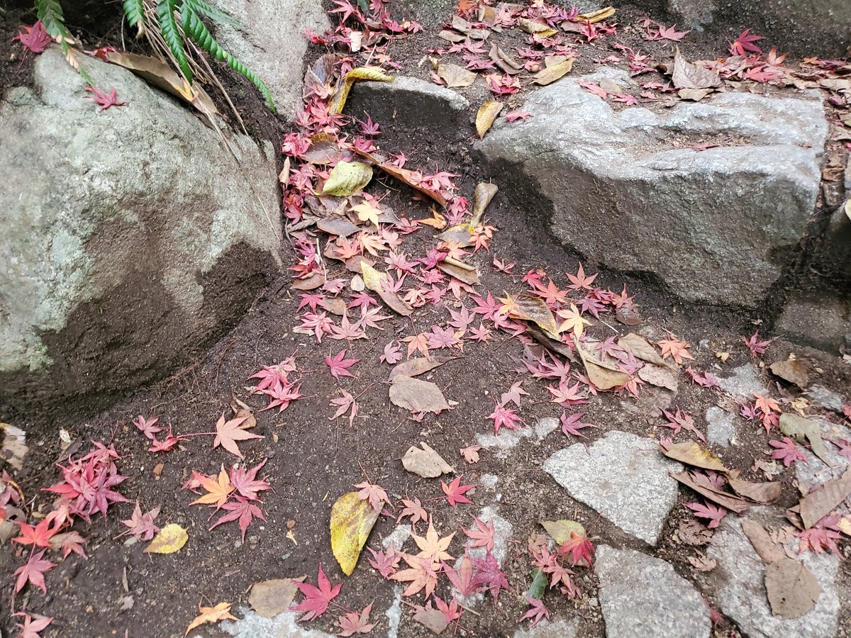 GraphTechKEN's tweet image. 秘境駅きた🍁