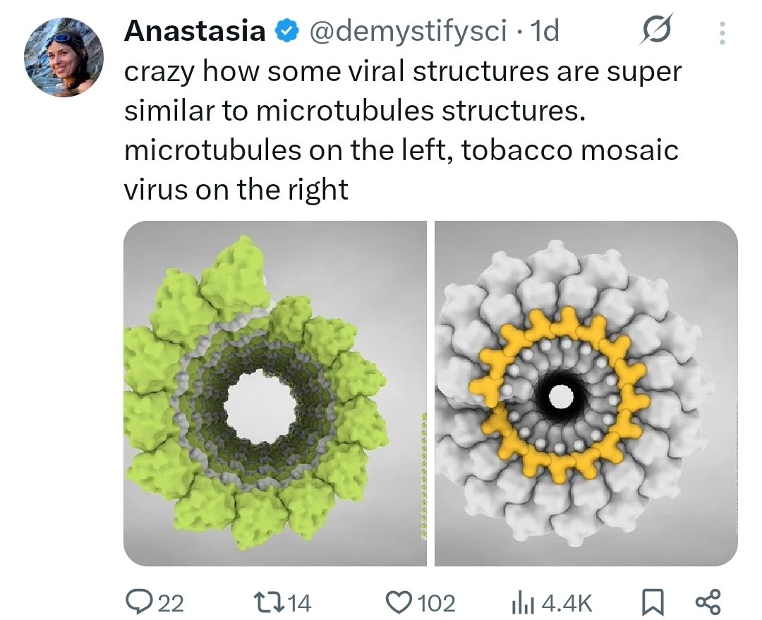 ThomasMitc85131's tweet image. ΔΦ Interpretation of Biological Crystals — Why Microtubules, Viruses, and Minerals Share One Architecture

Every structure shown in these posts — microtubules, helical viruses, and the so-called “living matrix” of liquid-crystal tissues — shares a single underlying pattern: a…