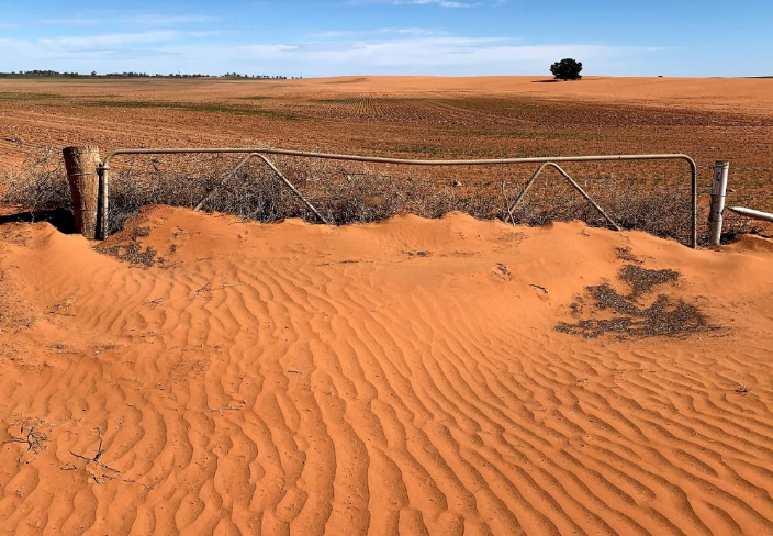 Did you know that every dollar put into regional communities is repaid more than six times over?

It’s so important for our drought-hit communities that farmers take up the range of grants and services on offer from the Victorian Government. It not only directly helps farmers,