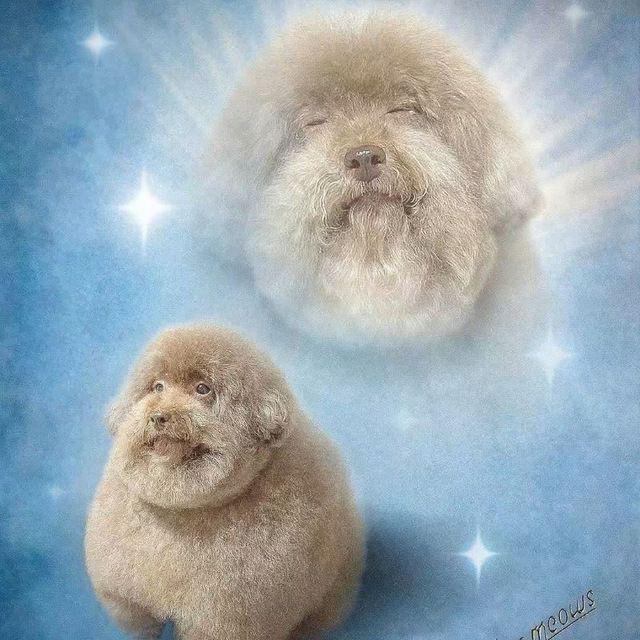 Fernando tweet media