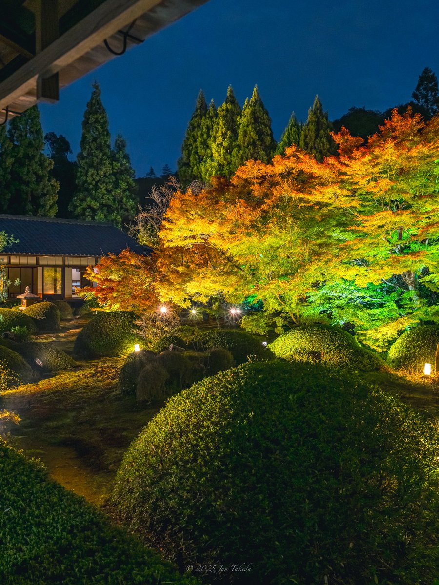 man_tac's tweet image. 京都雲龍院さん・秋の特別拝観ライトアップ①✨🍁
2025.11.24撮影

#京都よきかな 
Leica SL2-S x SIGMA 28-105mm F2.8 DG DN | Art