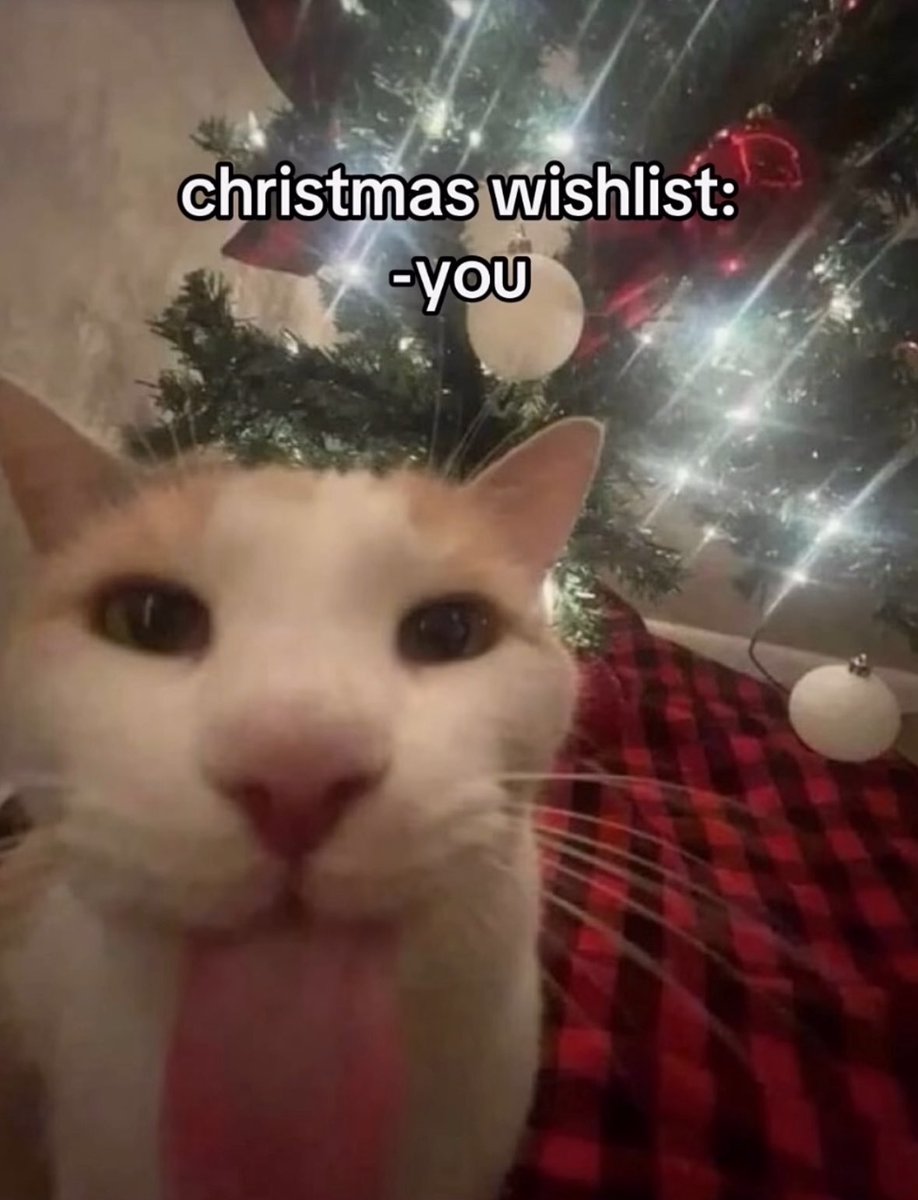 LiterallyMeCats (@literallymecats) on Twitter photo 