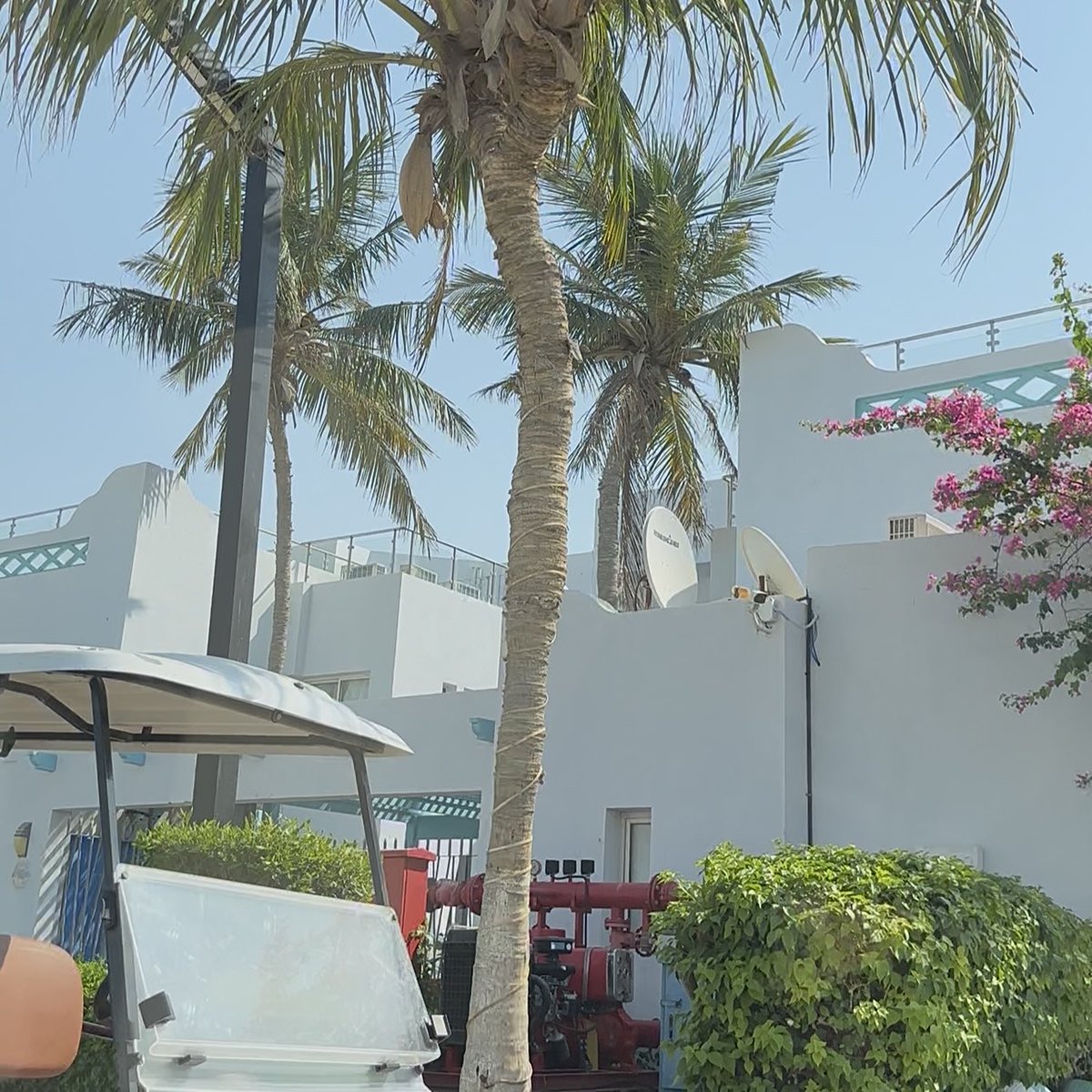 د.جَنى tweet media