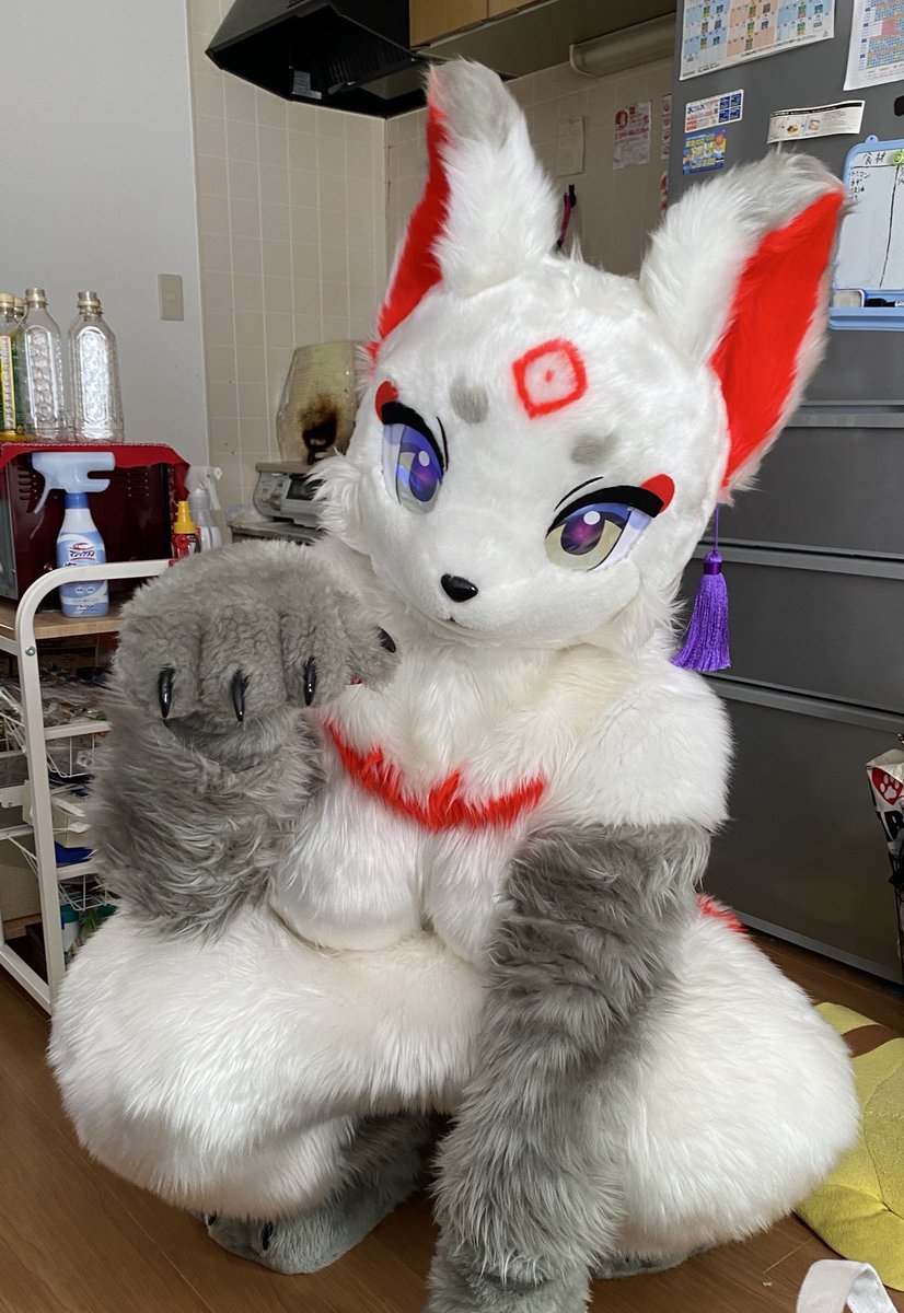 Fancy Fur Pierrot (@FancyFurPierrot) / Posts / X