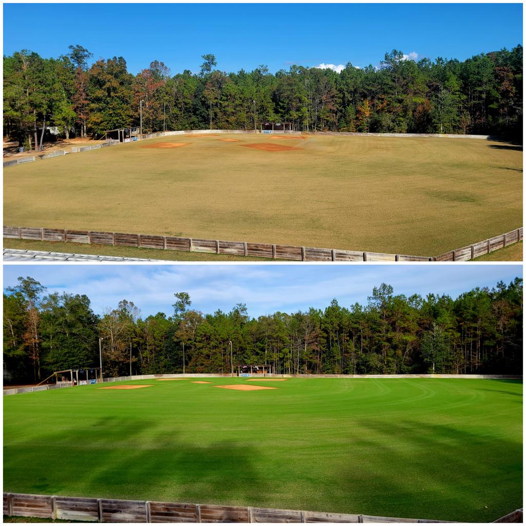 Diamondtrain18's tweet image. Success! Green all year long.🌱
Stay off my lawn!!!