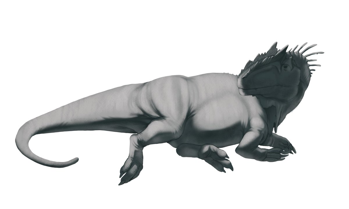 willdotes's tweet image. i wish i had more paleo art oomfies 🙏
i draw dinosaurs and dino similar critters btw😁😁
#paleoart #dinosaur #ilovedinosaurs