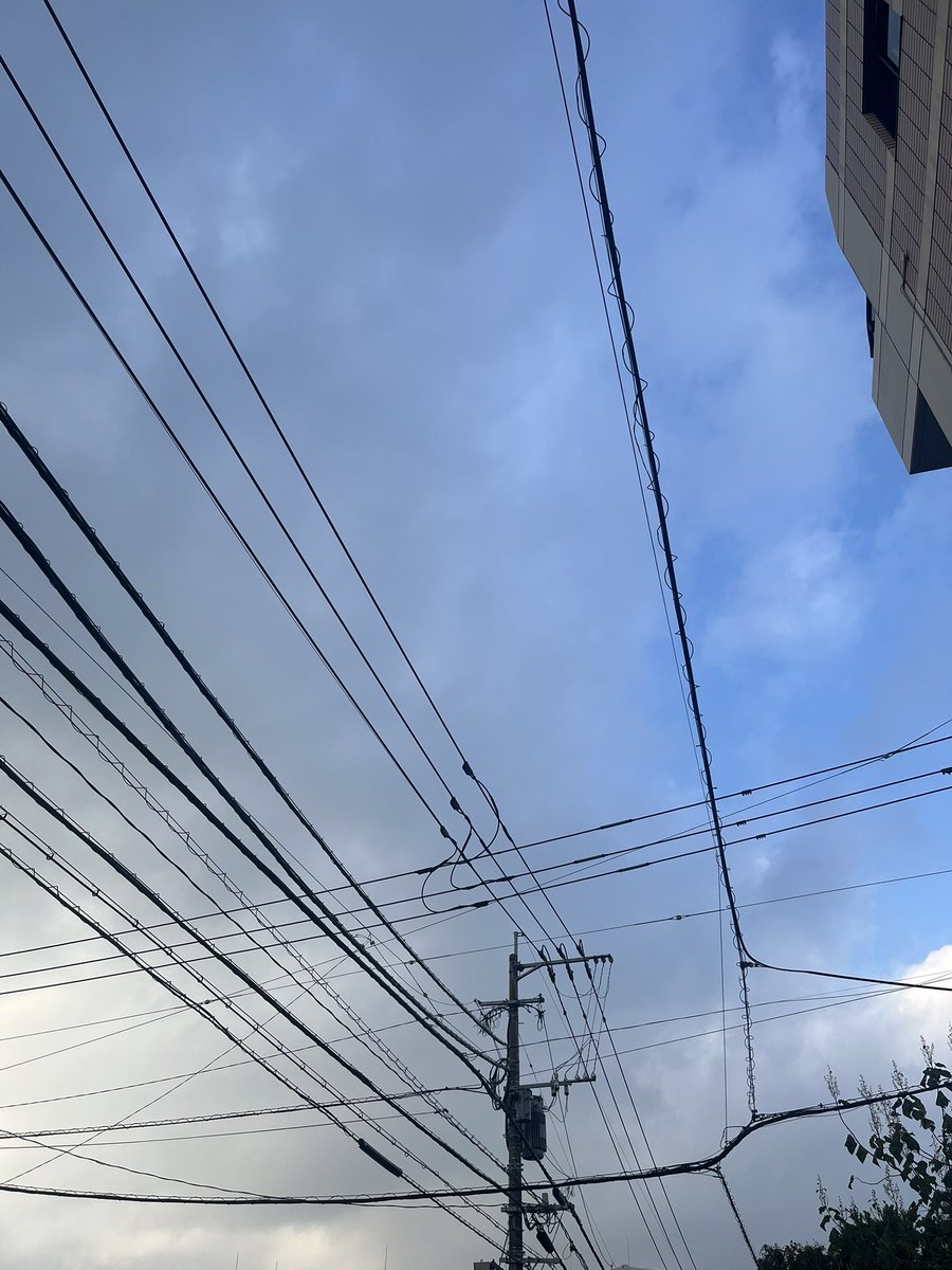 piccolo5655's tweet image. おはよー木曜日
明日から大阪出張^ ^