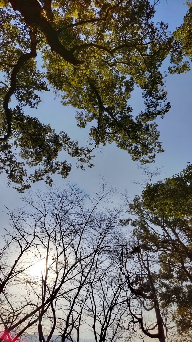 おはようございます。