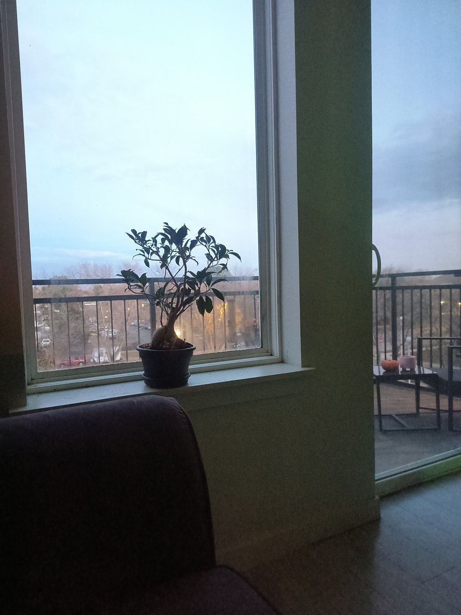 haslane's tweet photo. It's time to go to bed early when it gets dark early. https://t.co/7osRU6AeOm
