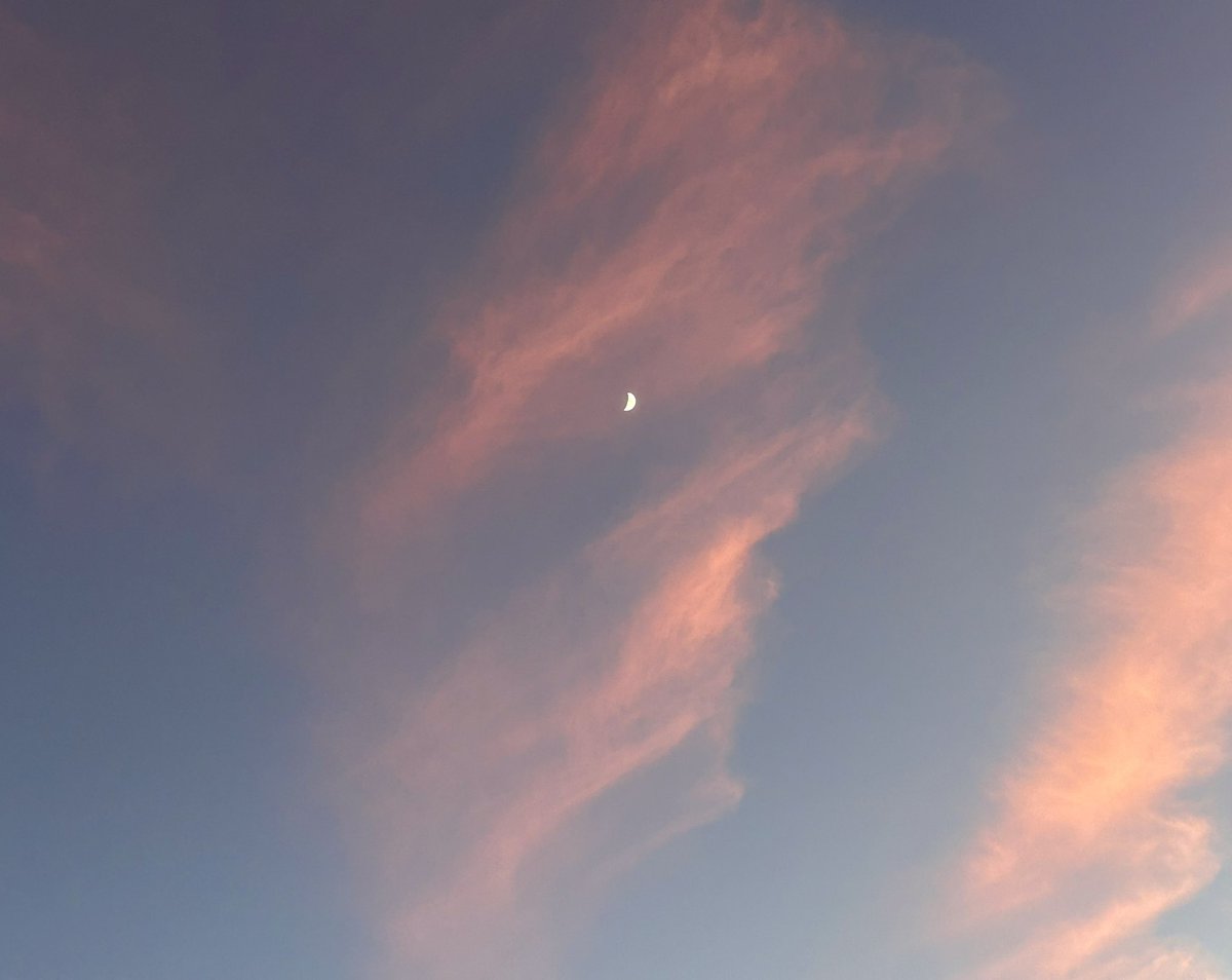 Let’s see 
Moon Aesthetics 🍀✨💕🌙