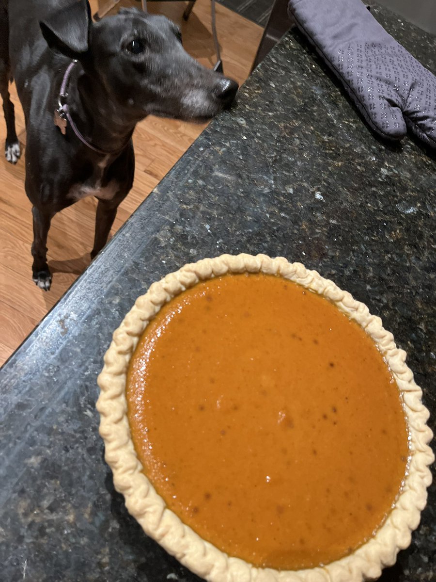 #Thanksgiving2025 pumpkin pie just came out of the oven. Gimme!