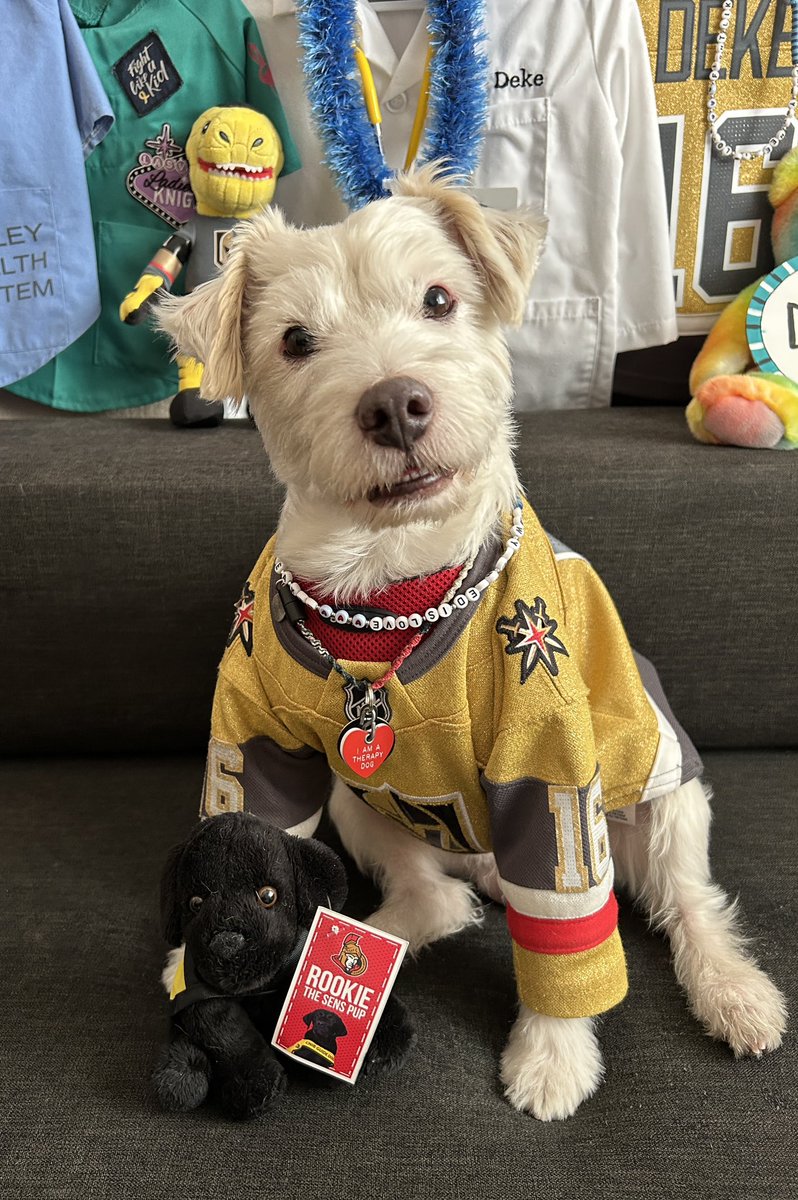I’m ready for the hockey!
~ Deke🐾
#GoKnightsGo
#VegasBorn               
#OTTvsVGK 
#GameFace
