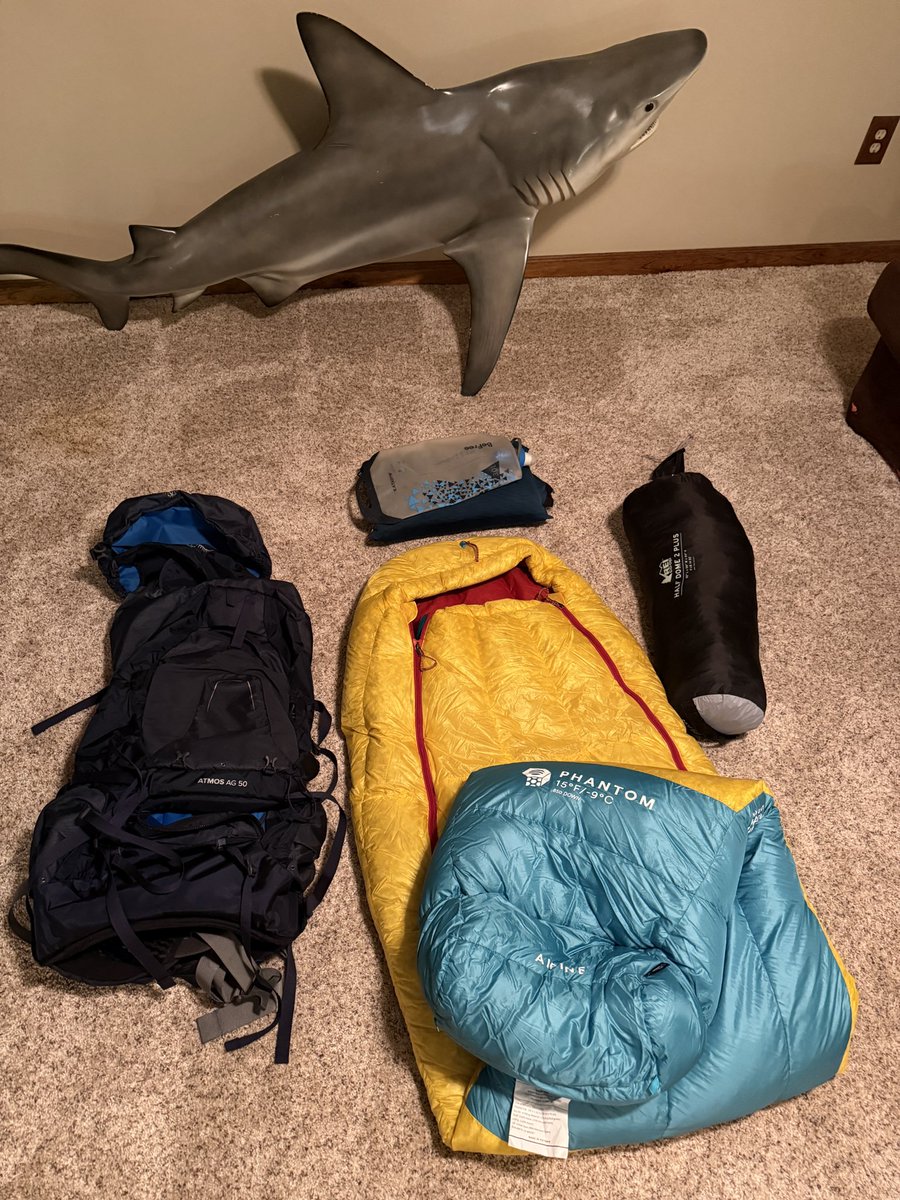 SamTheRamVacker's tweet image. You want to come camping with me so bad (don’t ask about the shark)